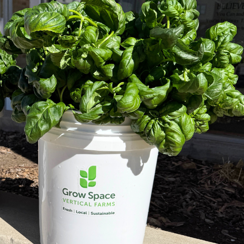 How Grow Space is Solving Restaurant Food Waste for Kenosha Area Establishments: Fresh, Sustainable, and Hyper-Local