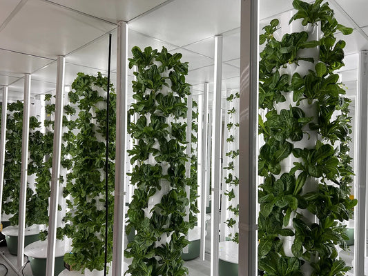 Grow Space Update: Phase One Nearing Completion