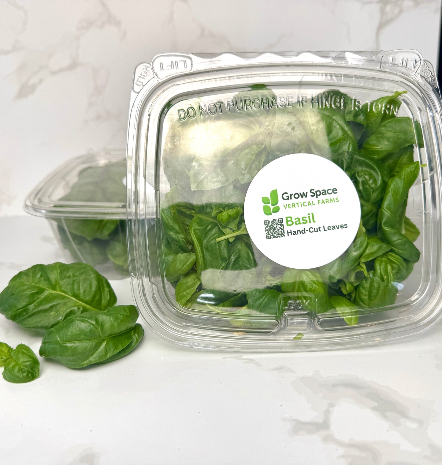 Basil - Container of Hand Picked Leaves