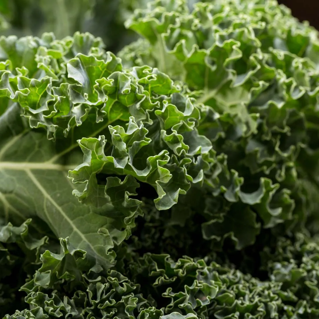 A close-up image of fresh kale leaves with a vibrant green color and visible veins.
