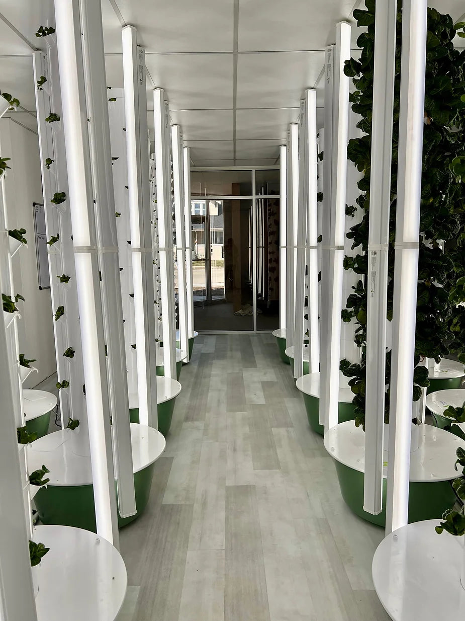 The Path of Sustainability for Grow Space