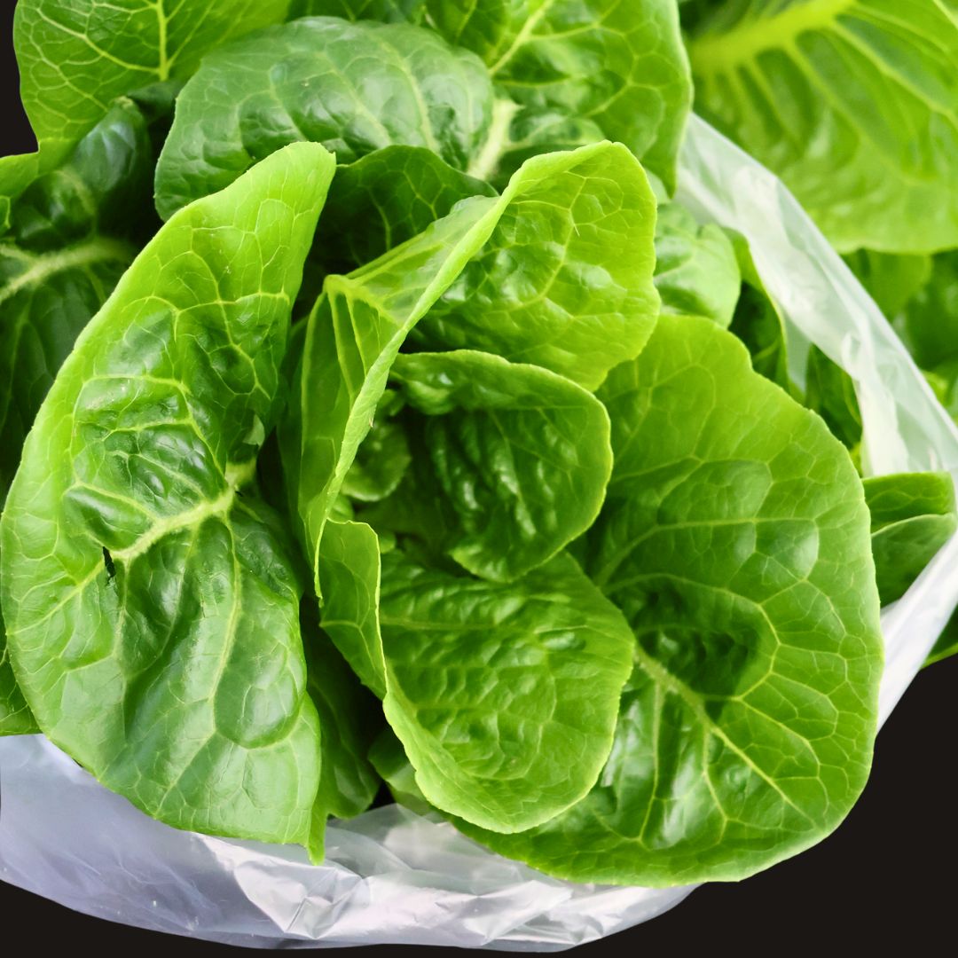 Romaine