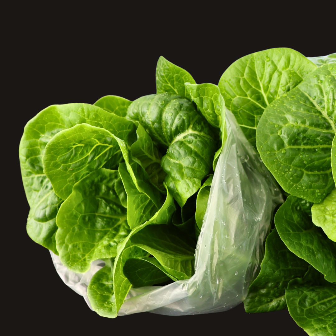 Romaine