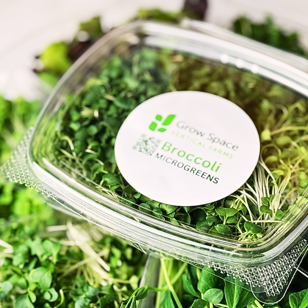 Broccoli Microgreens