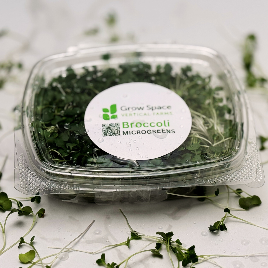 Broccoli Microgreens