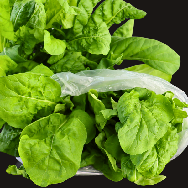 Arugula Full Plant