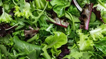 5 Star Spring Mix - Living Roots